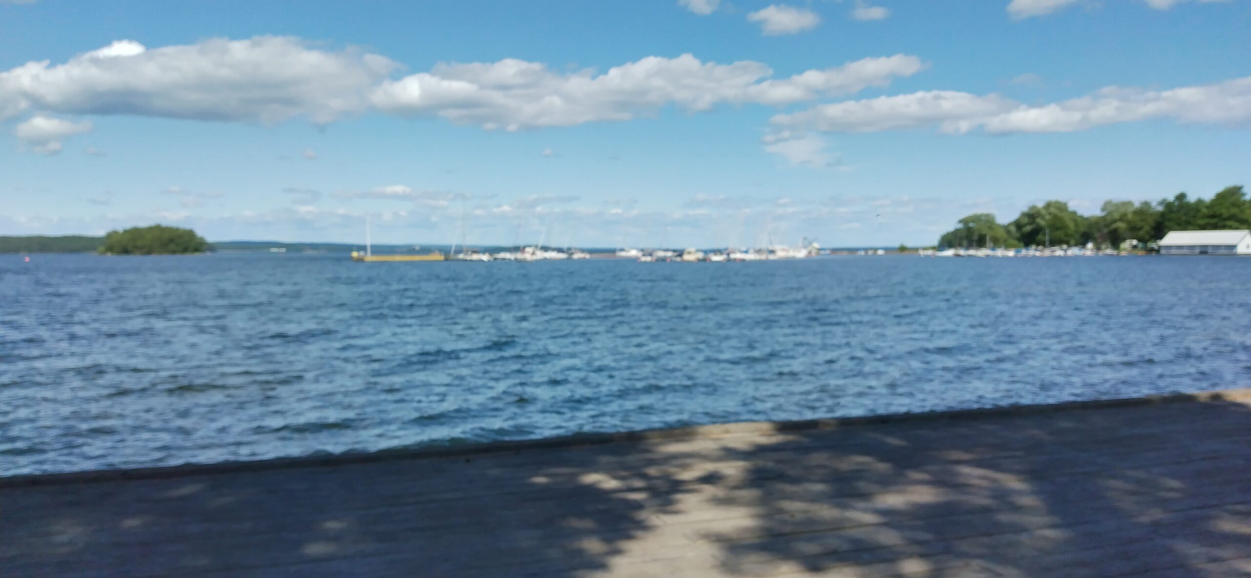 IMG_20210718_140608.jpg