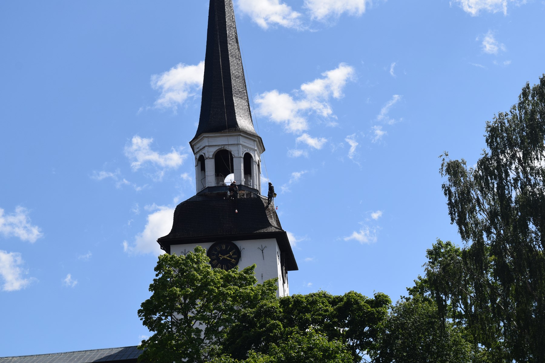 DSC_8185