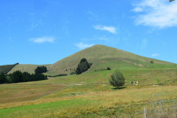 DSC_0377