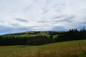DSC_0502