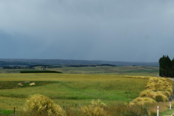 DSC_0530