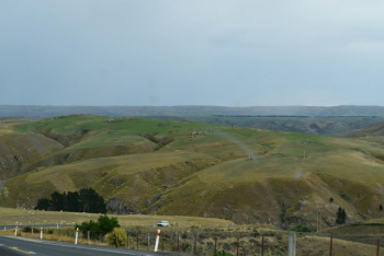 DSC_0537