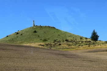 DSC_0236